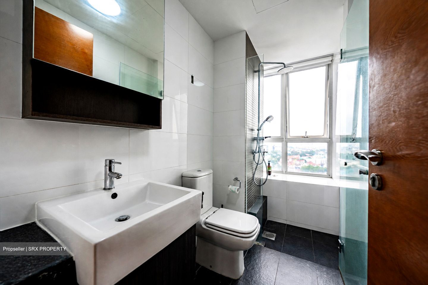 The Parc Condominium (D5), Condominium #554305061